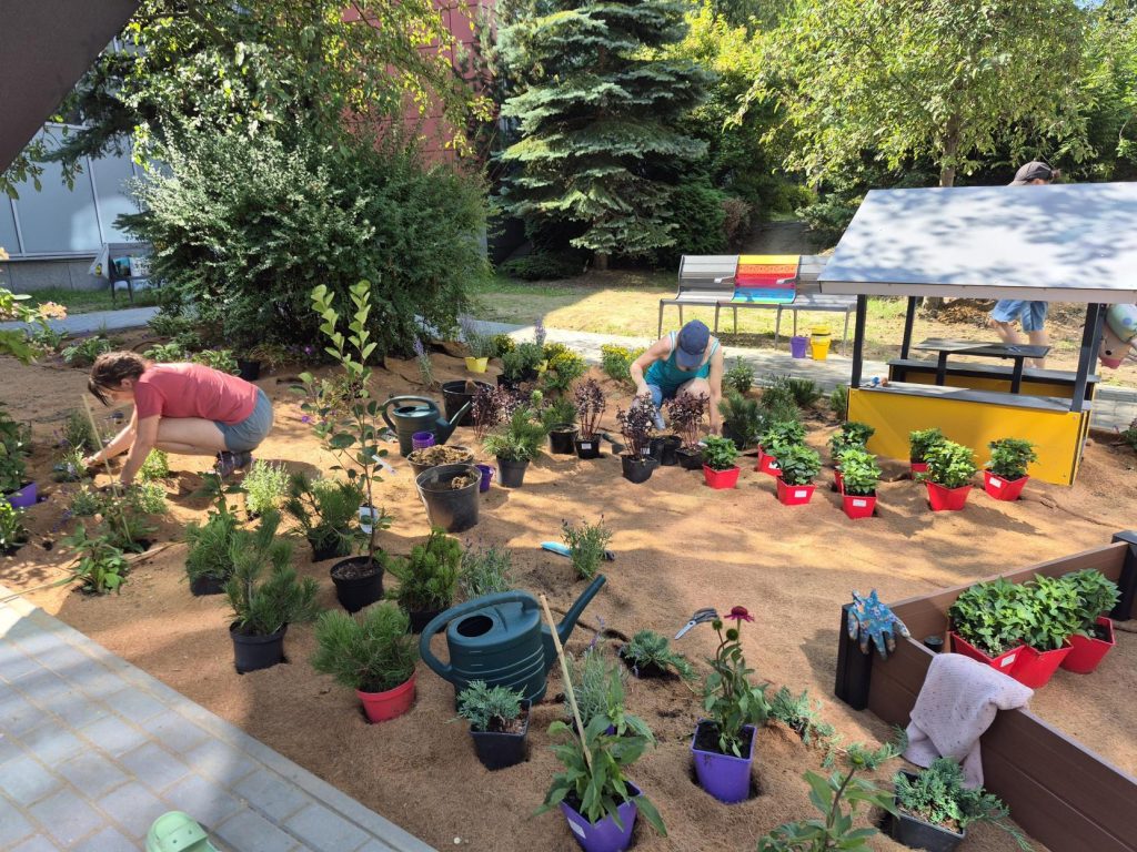 Przygotowane do sadzenia rośliny oraz wolontariusze pracujący nad ogrodem sensorycznym.