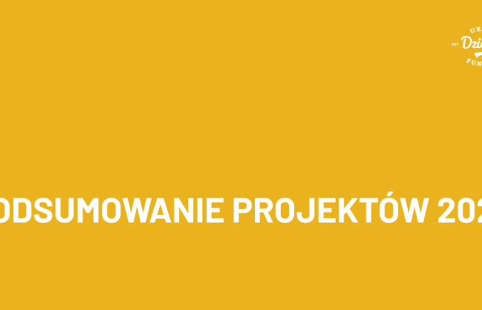 Podsumowanie projektów 2025