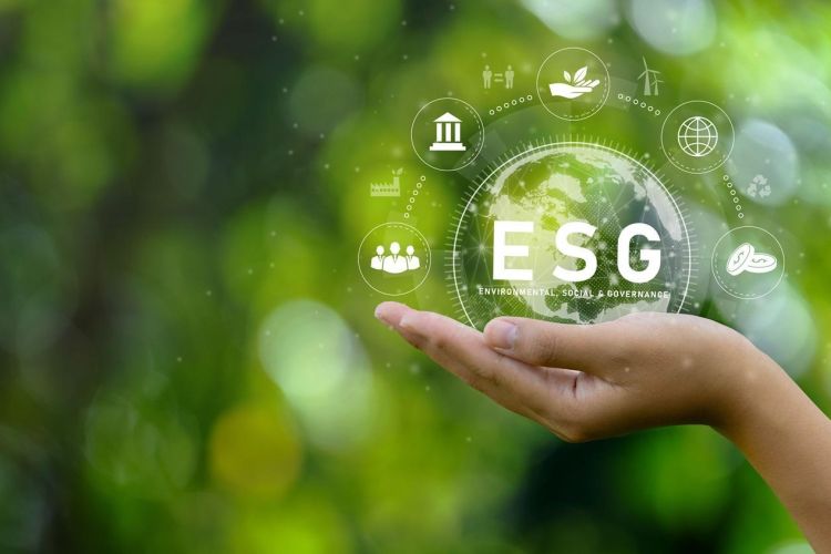 raportowanie esg