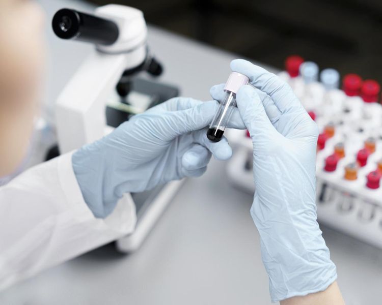 Lekarz hematolog czym zajmuje się hematologia i jakie choroby leczy